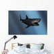 Megalodon Shark from Cenozoic Wall Decal