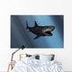 Megalodon Shark from Cenozoic Wall Decal
