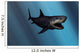 Megalodon Shark from Cenozoic Wall Decal