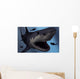 Megalodon Shark from Cenozoic Wall Decal