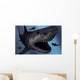 Megalodon Shark from Cenozoic Wall Decal