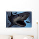 Megalodon Shark from Cenozoic Wall Decal