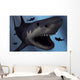 Megalodon Shark from Cenozoic Wall Decal