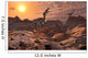 Pack Carnivorous Velociraptors from Wall Decal