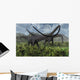 Two Giant Diplodocus Herbivore Wall Decal