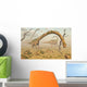 Living Fossilized Omeisaurus Sauropod Wall Decal Design 1