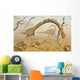 Living Fossilized Omeisaurus Sauropod Wall Decal Design 1