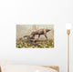 Family T Rex Dinosaurs Wall Decal