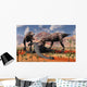 Two T Rex Dinosaurs Wall Decal