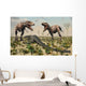 Confrontation between Pair T Wall Decal Design 1