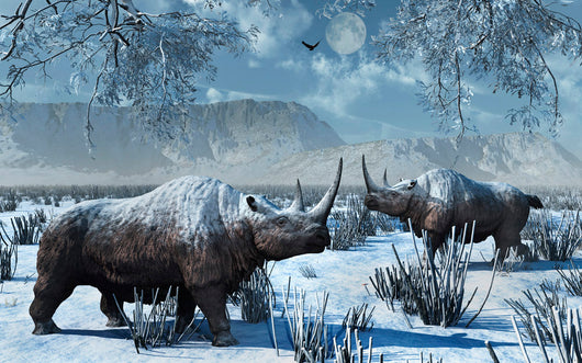 Pair Woolly Rhinoceros Severe Wall Decal
