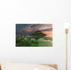 Pair Diplodocus Dinosaurs during Wall Decal