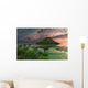 Pair Diplodocus Dinosaurs during Wall Decal