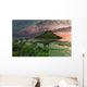 Pair Diplodocus Dinosaurs during Wall Decal