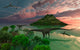 Pair Diplodocus Dinosaurs during Wall Decal