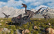 Pack Velociraptors Attack Lone Wall Decal