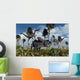 Pair Velociraptors Attack Lone Wall Decal