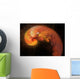 Artist's Concept Developing Alien Wall Decal