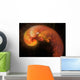 Artist's Concept Developing Alien Wall Decal