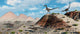 Pack Velociraptors Stalking Herd Wall Decal