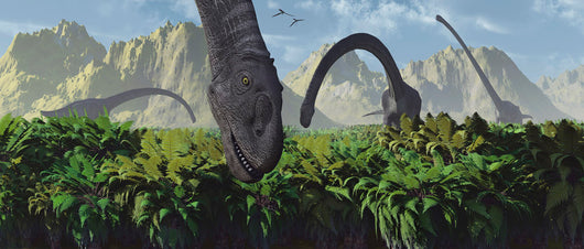Herd Omeisaurus Dinosaurs Feeding Wall Decal Design 2