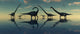 Giant Sauropod Dinosaurs Grazing Wall Decal