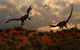 Pair Velociraptors Involved Territorial Wall Decal Design 1