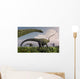 Herd Diplodocus Sauropod Dinosaurs Wall Decal