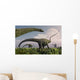 Herd Diplodocus Sauropod Dinosaurs Wall Decal