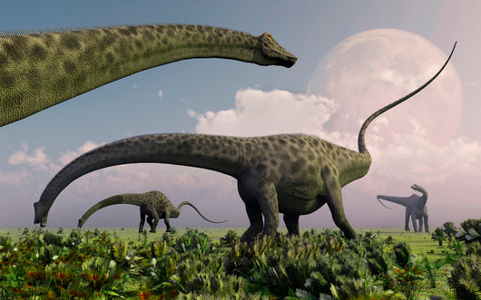 Herd Diplodocus Sauropod Dinosaurs Wall Decal