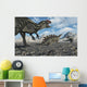 Allosaurus Dinosaurs Moving to Wall Decal