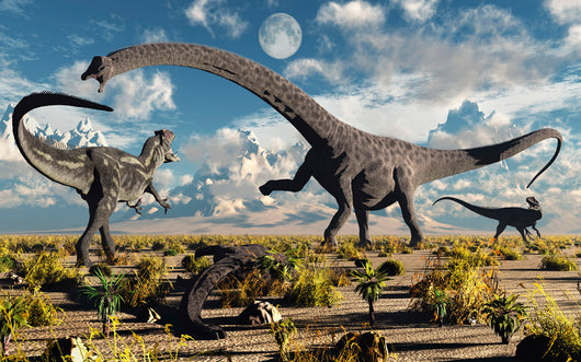 Deadly Confrontation between Diplodocus Wall Decal