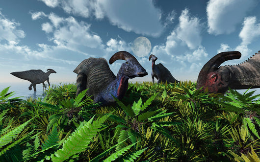 Herd Herbivorous Parasaurolophus Dinosaurs Wall Decal