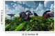 Herd Herbivorous Parasaurolophus Dinosaurs Wall Decal
