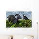 Pair Parasaurolophus Duckbill Dinosaurs Wall Decal