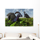 Pair Parasaurolophus Duckbill Dinosaurs Wall Decal