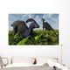Pair Parasaurolophus Duckbill Dinosaurs Wall Decal