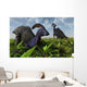Pair Parasaurolophus Duckbill Dinosaurs Wall Decal