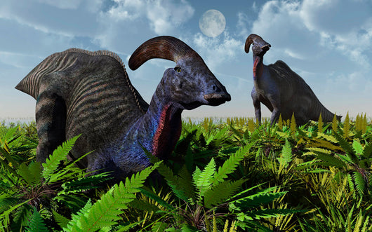 Pair Parasaurolophus Duckbill Dinosaurs Wall Decal