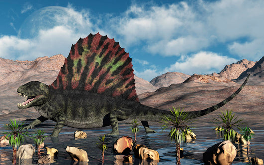 Sail-backed Dimetrodon from Earth's Wall Decal Design 2