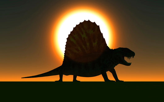 Sail-backed Dimetrodon from Earth's Wall Decal Design 1