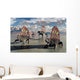 Sail-backed Dimetrodons Alive during Wall Decal Design 1