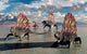 Sail-backed Dimetrodons Alive during Wall Decal Design 1