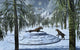 Pair Sabre-tooth Tigers and UFO Snow Wall Decal