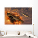 Ufo's from Different Alien Evening Wall Decal