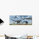Herd Giant Diplodocus Dinosaurs Close-up Wall Decal