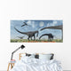 Herd Giant Diplodocus Dinosaurs Close-up Wall Decal