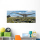 Herd Giant Diplodocus Dinosaurs Wall Decal
