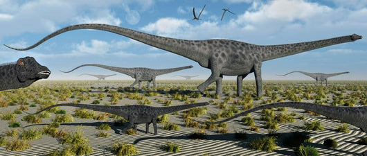 Herd Giant Diplodocus Dinosaurs Wall Decal