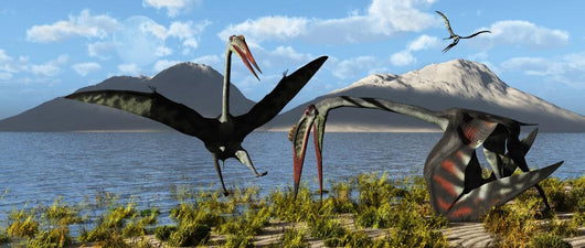 Gigantic Quetzalcoatlus Pterosaurs Wall Decal